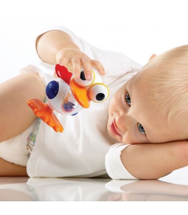 پلیکان چشم گردون﻿ Tolo