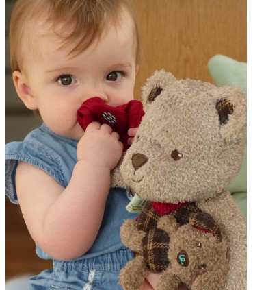 اسباب بازی موزیکال آقای بنسون برند Little bird told me