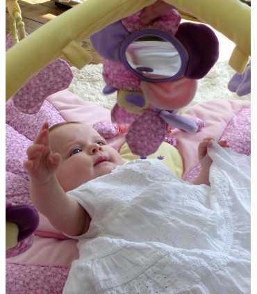 تشک بازی پروانه تپل برند Little Bird Told Me