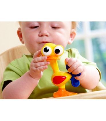 پرنده چشم گردون﻿ Tolo