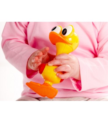 پرنده چشم گردون﻿ Tolo