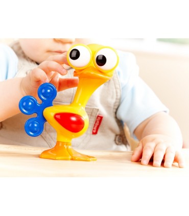 پرنده چشم گردون﻿ Tolo