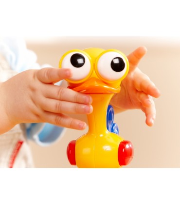 پرنده چشم گردون﻿ Tolo