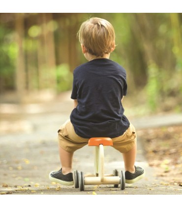 چهر چرخ پایی چوبی برند Plan Toys