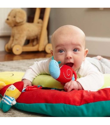 تشک بازی حلزون Little Bird Told Me My Little Sunshine Playgym