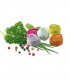 ست 2 عددی محفظه چاشنی ب آ با Beaba Babycook Set of 2 Seasoning Balls