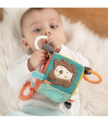 آویز کالسکه مکعب بیبی فن BabyFehn Activity Cube Funky Friends