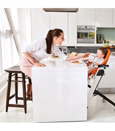 صندلی غذای کودک پگ پرگو مدل Peg-Perego Siesta Follow Me Ambiance Brown