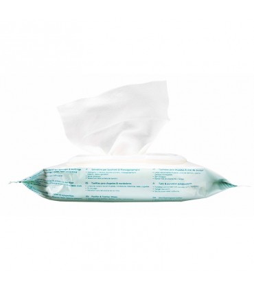 دستمال استریل لوازم نوزاد نوبی Nuby Pacifier and Teether Wipes