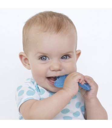 دندانگیر سیلیکونی طرح ماهی نوبی Nuby Teether