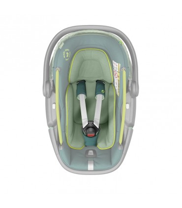 صندلی نوزاد سبز مکسی کوزی مدل Maxi-Cosi Coral