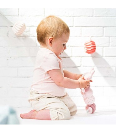 عروسک عروسک هزار پا ناتو Nattou Cuddly Caterpillar