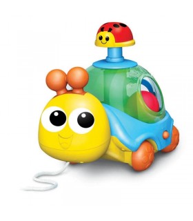 لاک پشت فشاری وین فان