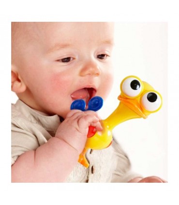 پرنده چشم گردون﻿ Tolo