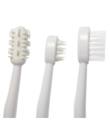 مسواك 3 کاره با ماساژور Dreambaby